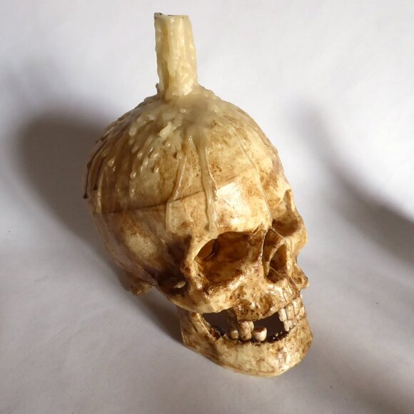 NEW HALLOWEEN GOTHIC HORROR TABLE CENTERPIECE APOTHECARY PROP ODDITY SKULL TRAY - Picture 5 of 15